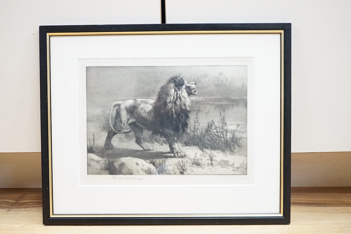 Herbert Dicksee RE (1862-1942), artist's proof 1892, 'The Challenge', signed in pencil, 19 x 26cm. Condition - fair to good